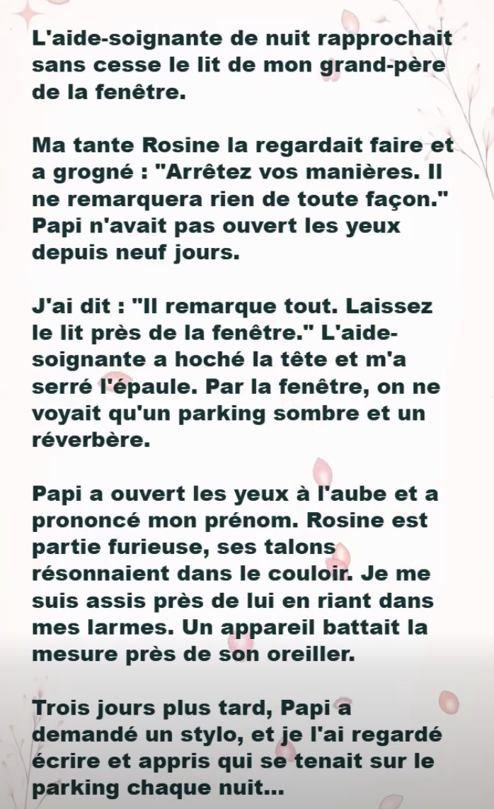 LE RITUEL DE LA FENÊTRE