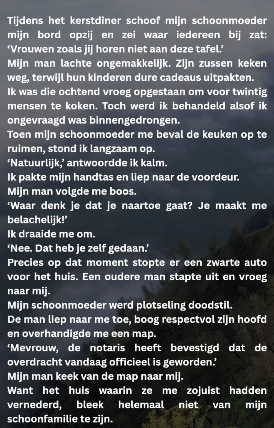 Mijn schoonmoeder vernederde me tijdens het kerstdiner