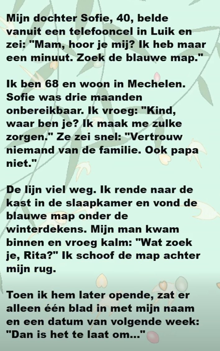 DE SCHADUW IN HET HUIS